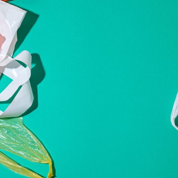 BiblioFlex to map flexible plastic packaging and recycling in Canada 