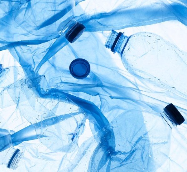 U.S. Plastics Pact Releases EPR Position Paper as Guide for State Policies