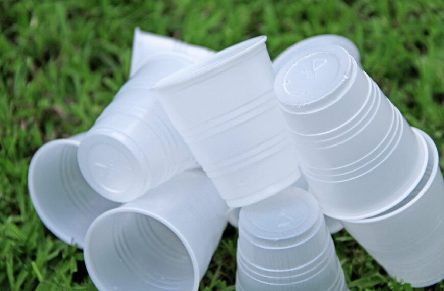 France postpones ban on single-use plastic cups until 2030