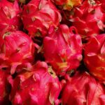 StePacPCC develops packaging to extend pitaya shelf life