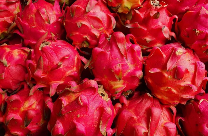 StePacPCC develops packaging to extend pitaya shelf life