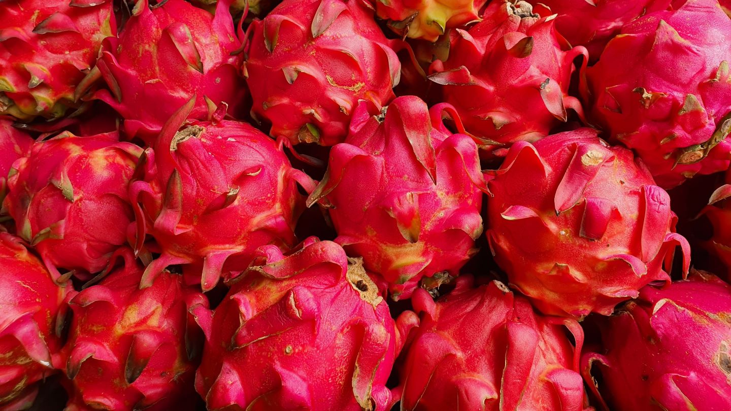 StePacPCC develops packaging to extend pitaya shelf life