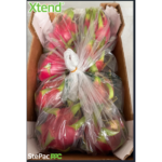 StePacPPC Develops New Packaging for Maintaining Dragon Fruit Freshness