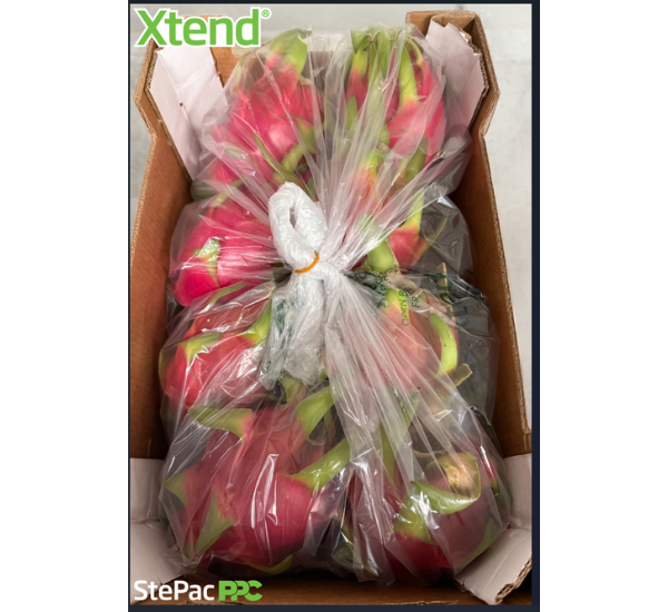 StePacPPC Develops New Packaging for Maintaining Dragon Fruit Freshness