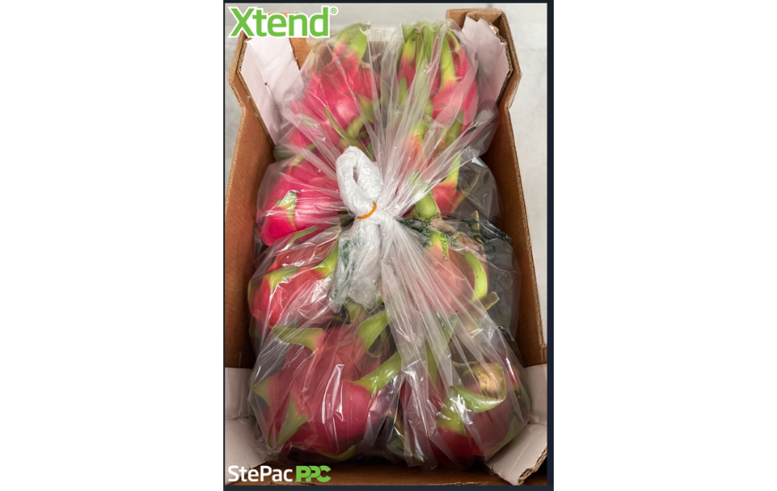 StePacPPC Develops New Packaging for Maintaining Dragon Fruit Freshness