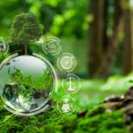 Constantia Flexibles earns top CDP score for environmental disclosure