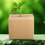 DCGpac launches new sustainable packaging plant in Noida, India