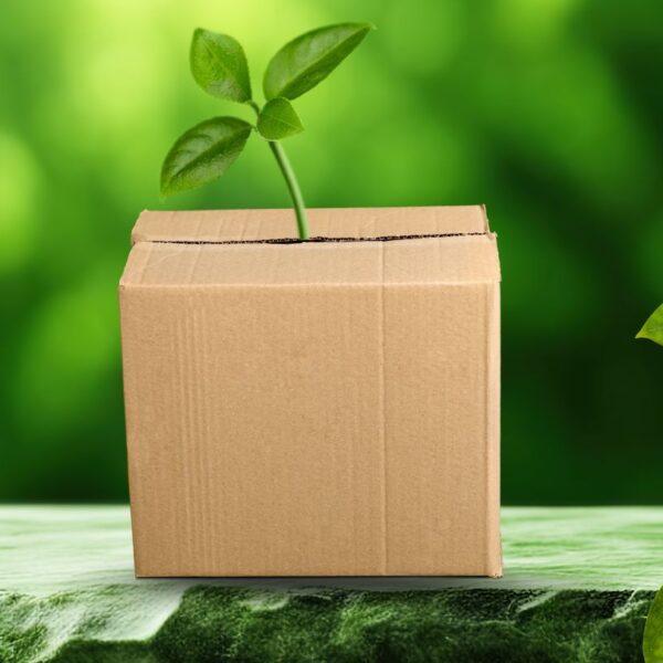 DCGpac launches new sustainable packaging plant in Noida, India