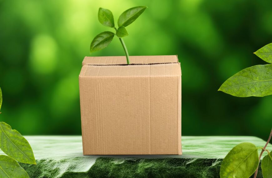 DCGpac launches new sustainable packaging plant in Noida, India