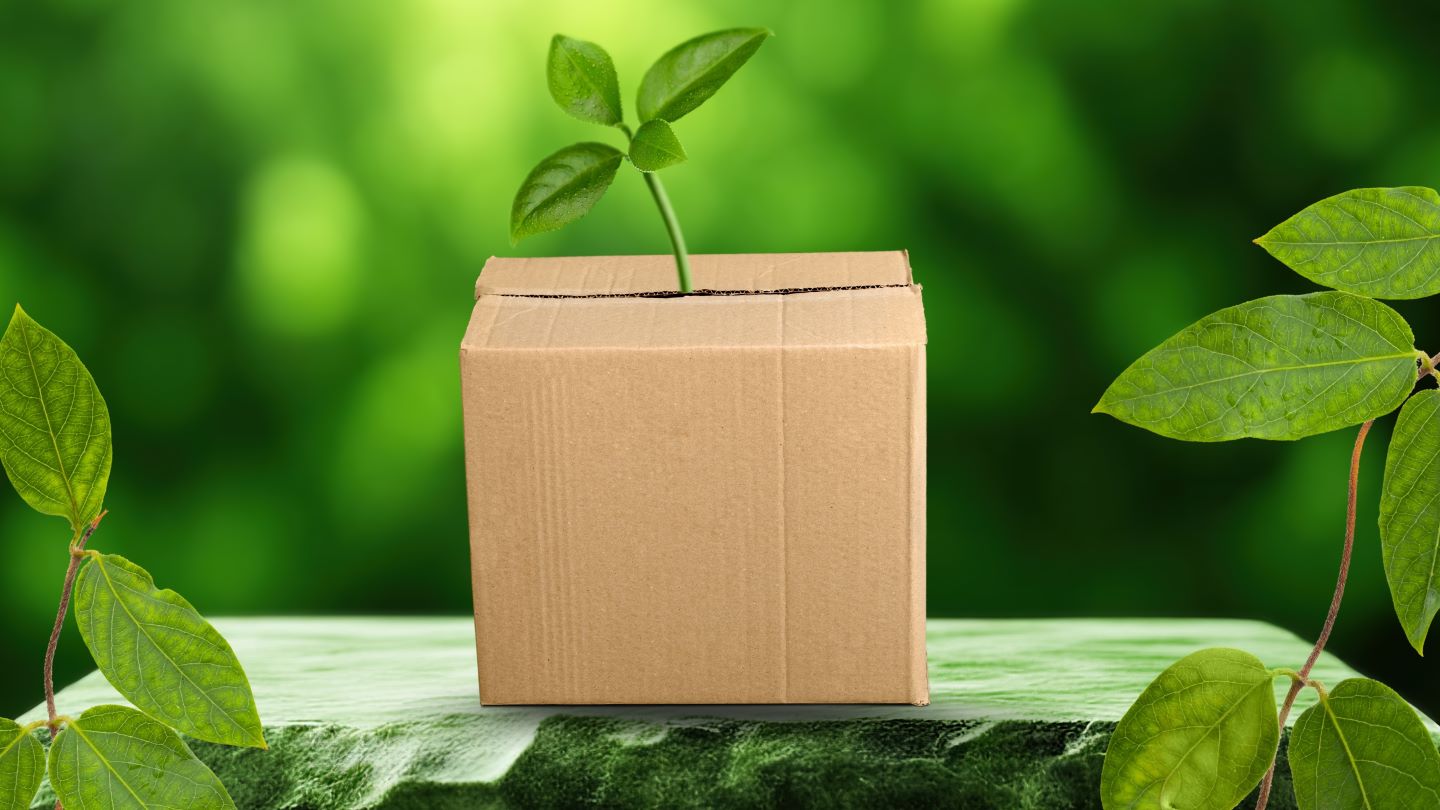 DCGpac launches new sustainable packaging plant in Noida, India