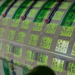 Polytag, Saica Flex, and Paragon launch UV-tagged labels