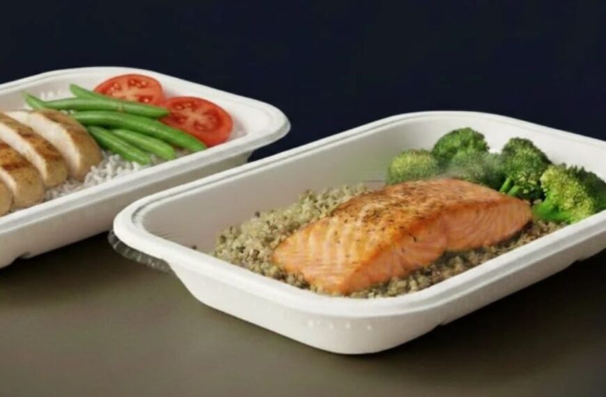 Yangi unveils dry-formed fibre trays for food packaging