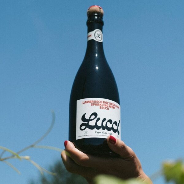 Lucci’s Visual System Is Strong On The Shelf And The Screen