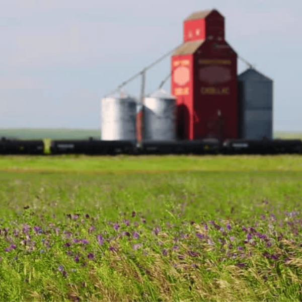Saskatchewan Polytechnic looks to address plastic waste with crop fibre tech