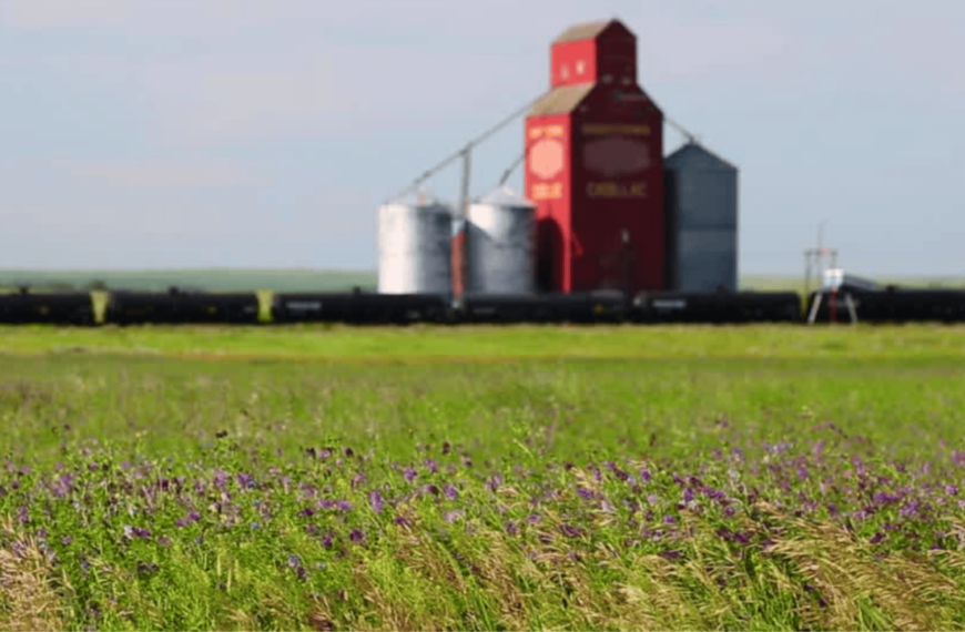 Saskatchewan Polytechnic looks to address plastic waste with crop fibre tech