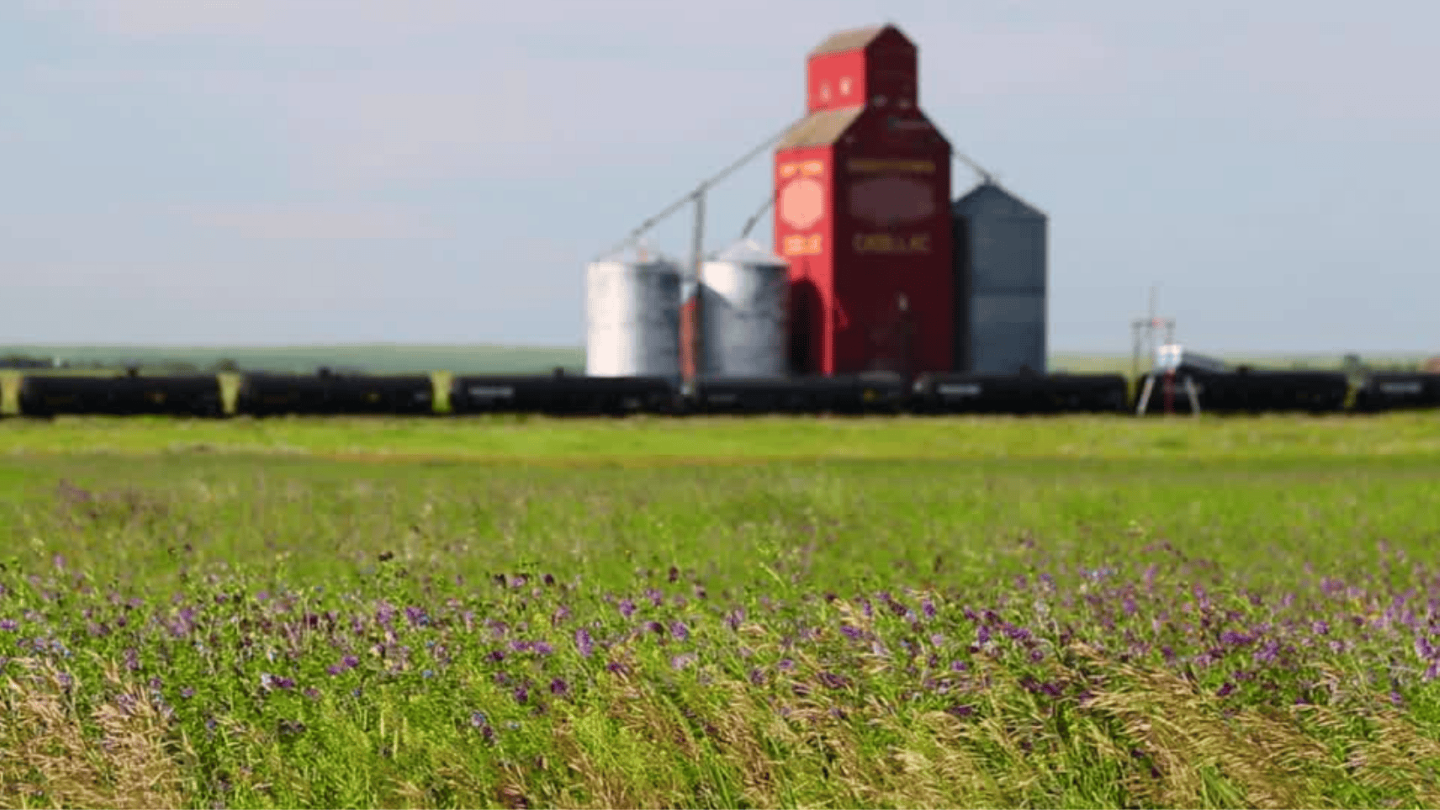 Saskatchewan Polytechnic looks to address plastic waste with crop fibre tech