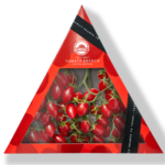Mastronardi Produce Debuts New Tomato-on-the-Vine Packaging
