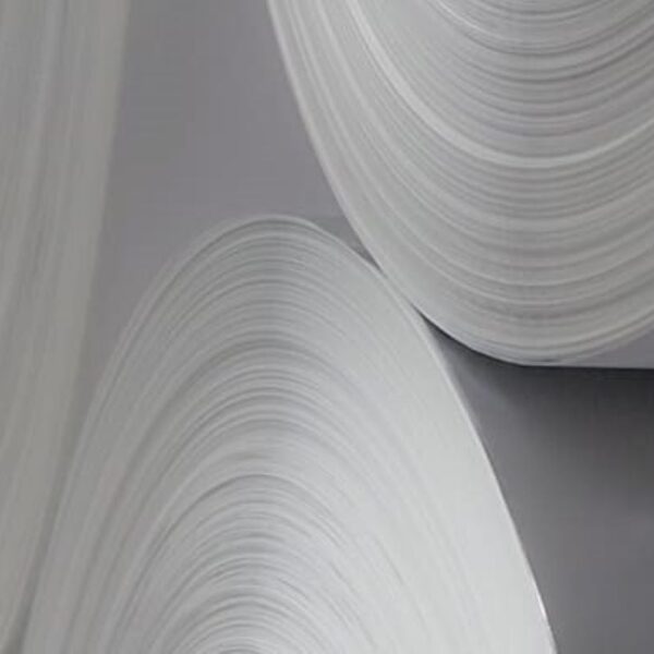 Lecta removes added PFAS from entire packaging line