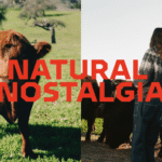 Shelf Life 101: Unpacking Natural Nostalgia With Wedge