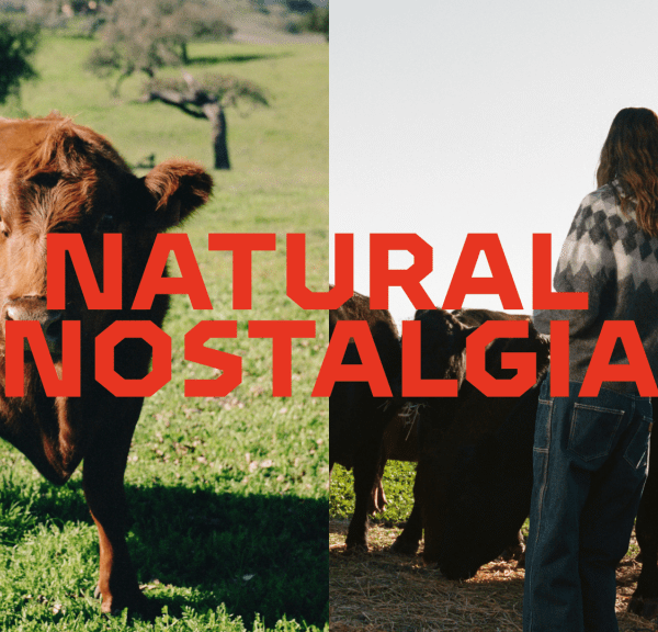 Shelf Life 101: Unpacking Natural Nostalgia With Wedge