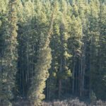 Paper Group Joins Distributor Group in Oregon EPR Lawsuit