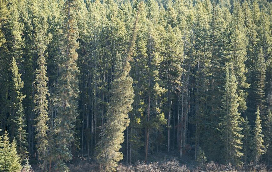 Paper Group Joins Distributor Group in Oregon EPR Lawsuit