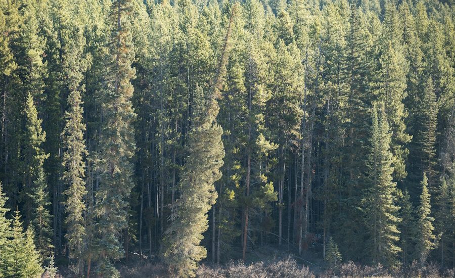 Paper Group Joins Distributor Group in Oregon EPR Lawsuit