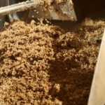 EU-funded BioSupPack project turns brewery waste into bioplastics