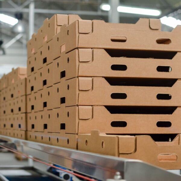 Buckeye Corrugated equips Nevada plant with key production gear