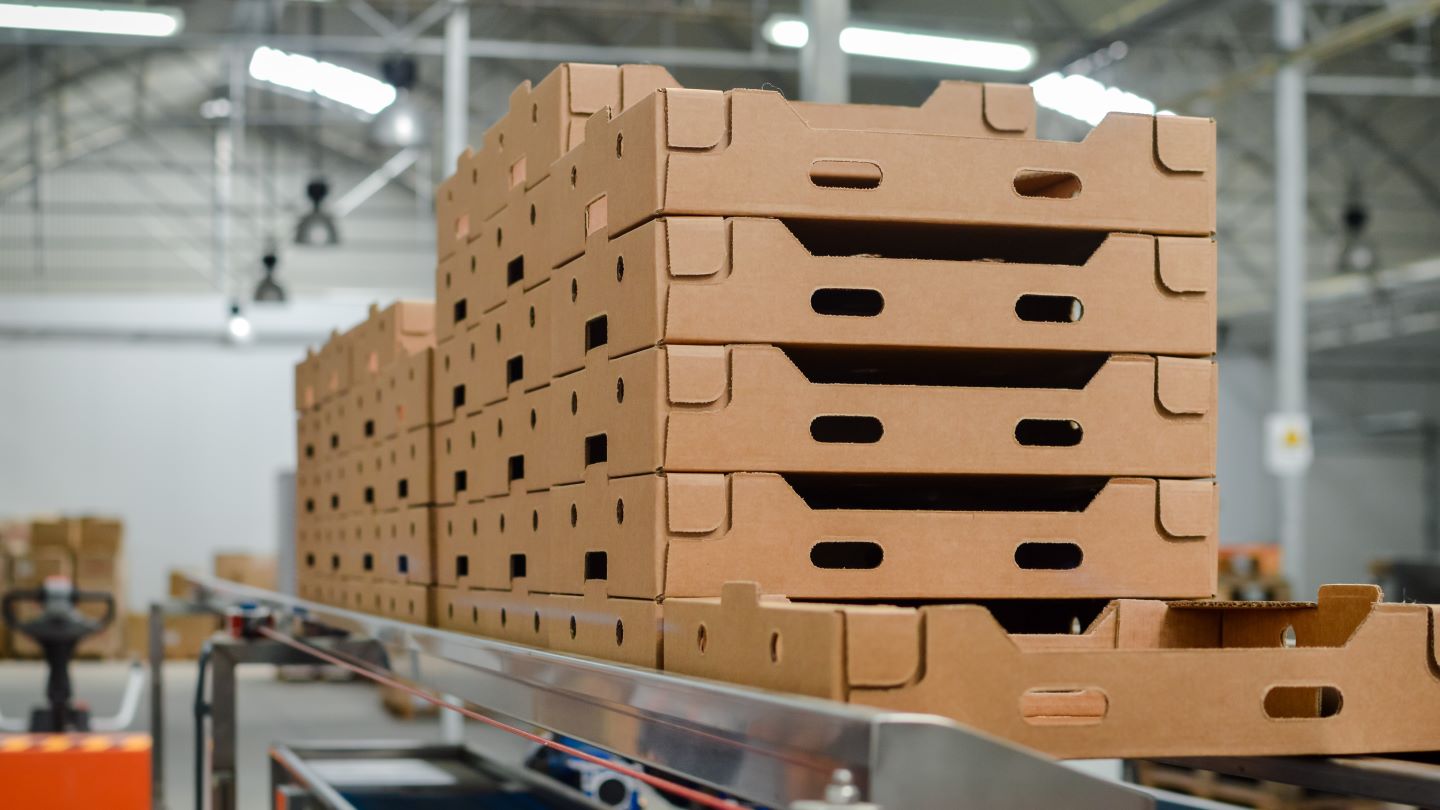 Buckeye Corrugated equips Nevada plant with key production gear