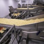 Selecting the Ideal Conveying System for Your Packaging Line