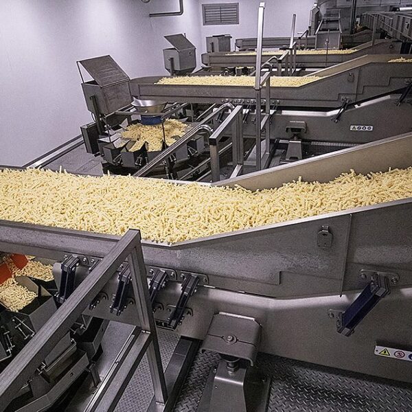 Selecting the Ideal Conveying System for Your Packaging Line