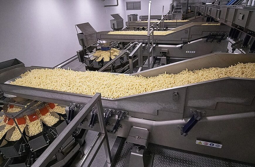 Selecting the Ideal Conveying System for Your Packaging Line