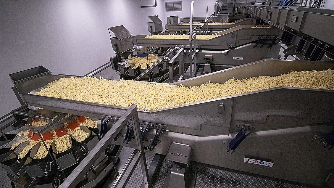 Selecting the Ideal Conveying System for Your Packaging Line