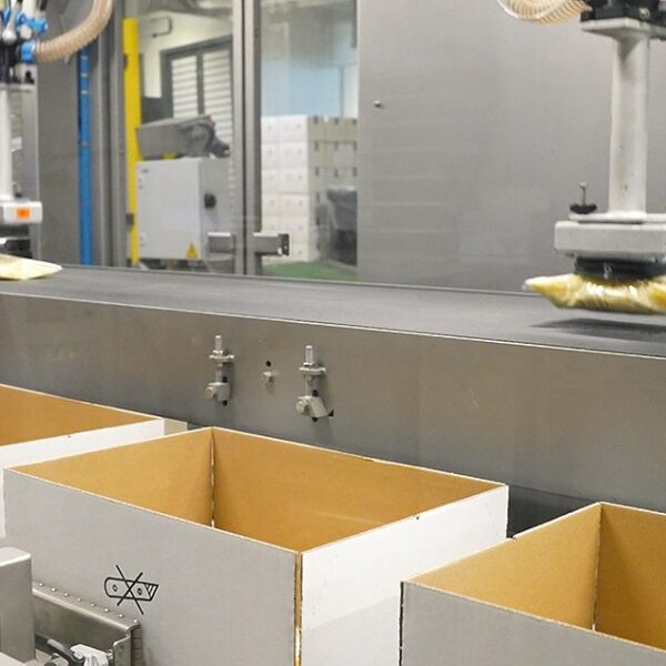 Precision, Safety, and Speed: The Strategic Role of Conveyor Belts in Packaging