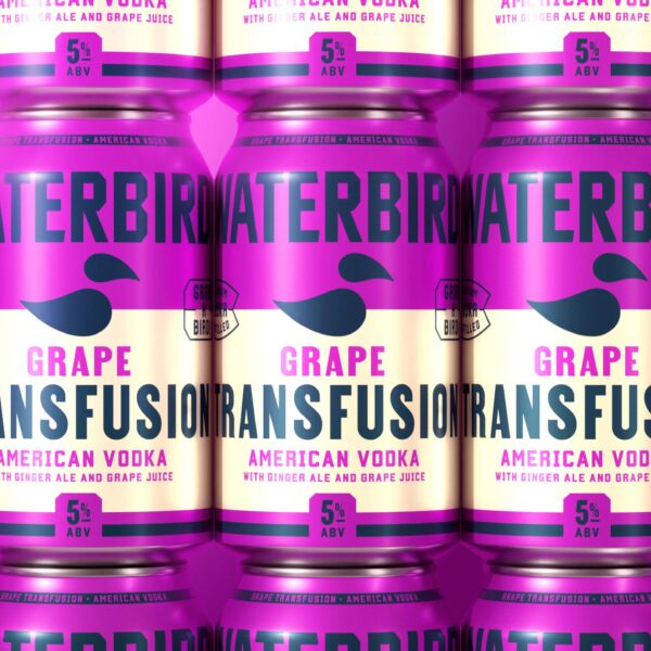 Bold, Athletic Type Brings Waterbird’s RTD Cocktails to Life