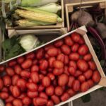 IFPA Announces Second Cohort of Packaging Innovation Program