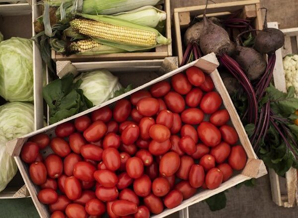 IFPA Announces Second Cohort of Packaging Innovation Program