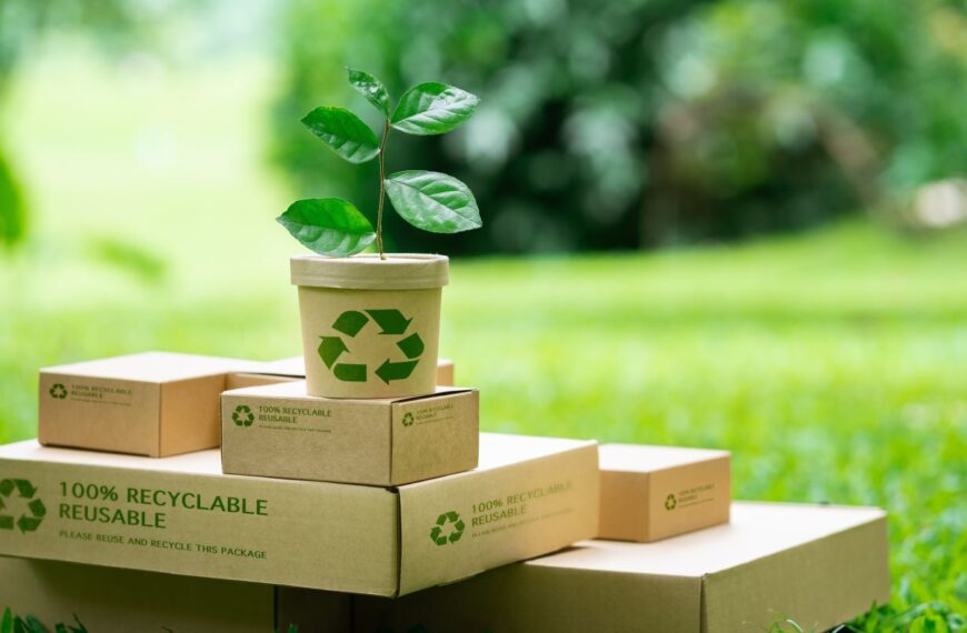 Sustainability drives European consumers’ packaging choices – study