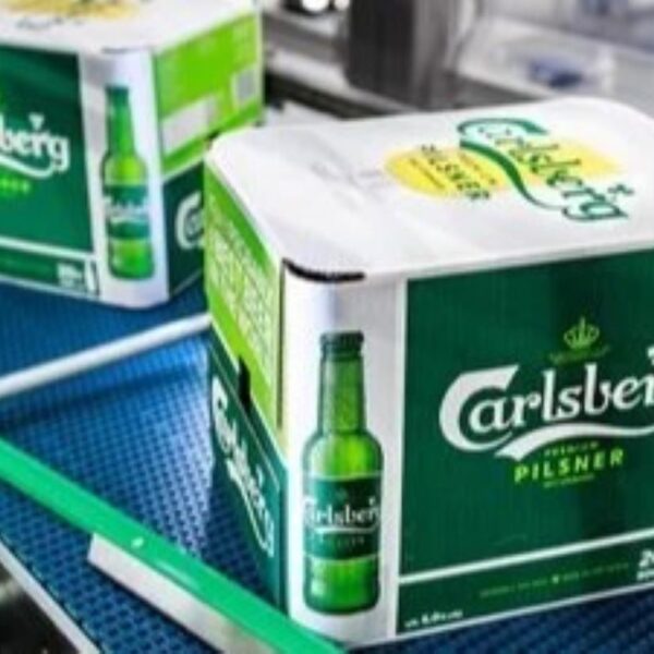 Carlsberg partners with DS Smith and KHS to launch cardboard multipack
