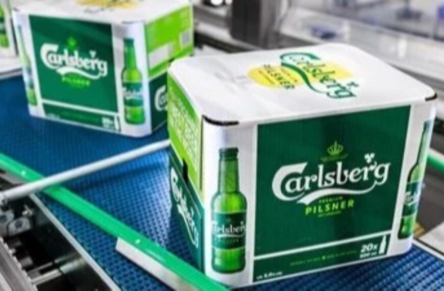 Carlsberg partners with DS Smith and KHS to launch cardboard multipack