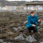 Aberystwyth researchers develop food wrap from seaweed extract