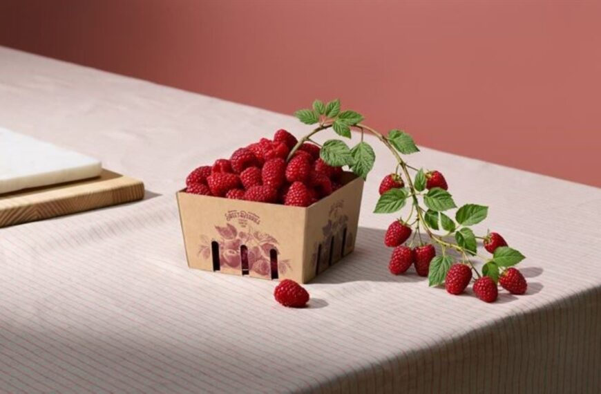 Holmen adds fluting to Elevate paper range
