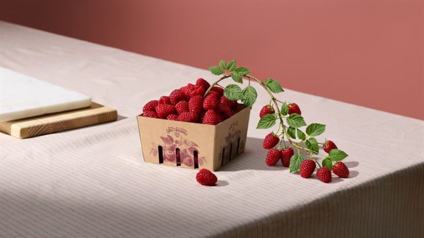 Holmen adds fluting to Elevate paper range