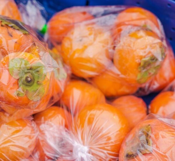 IFPA Issues Position on EPR as Compliance Deadlines Hit Fresh Produce Industry