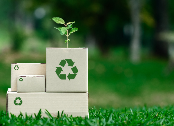 How eco-friendly packaging can lower costs