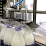Secondary Packaging for Dairy: Trends and Innovations
