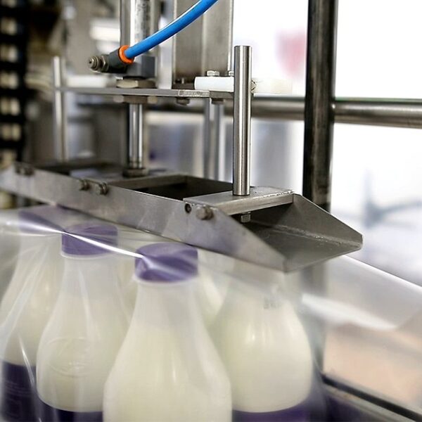 Secondary Packaging for Dairy: Trends and Innovations