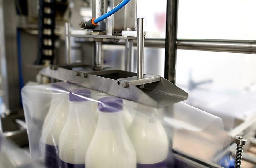 Secondary Packaging for Dairy: Trends and Innovations
