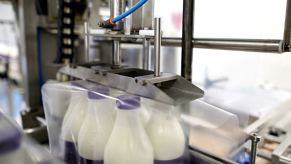 Secondary Packaging for Dairy: Trends and Innovations